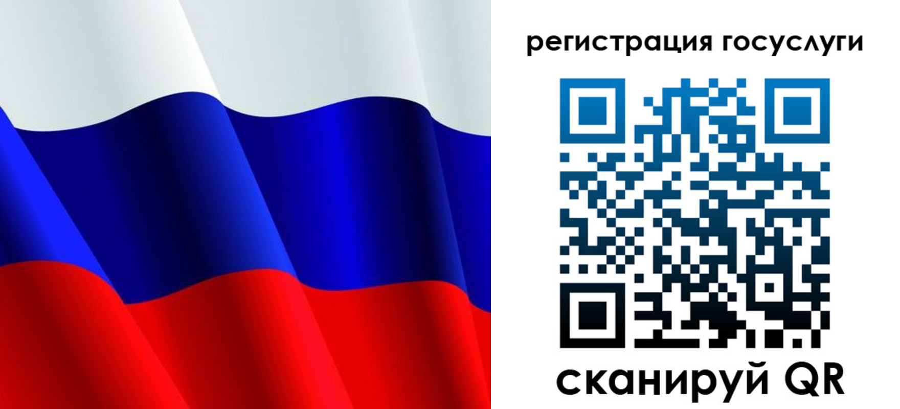 регистрация в Кингисеппе